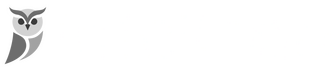 Intellean logo